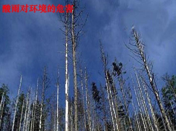 酸雨對(duì)環(huán)境的危害 酸雨對(duì)環(huán)境的危害